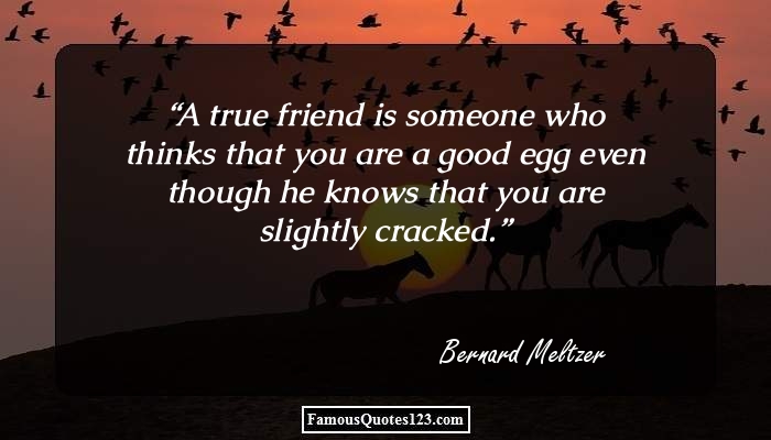 Funny Friendship Quotes - Humorous Friendship Quotations & Sayings